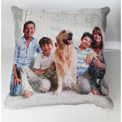 Sequin Cushion Cover