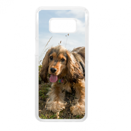 Samsung Galaxy S8 Hard Plastic Case