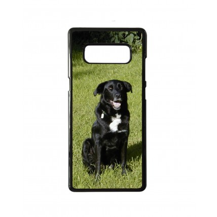 Samsung Galaxy Note 8 Case Hard plastic