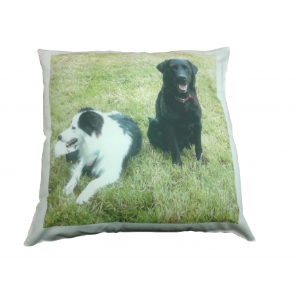 Cushion Cover